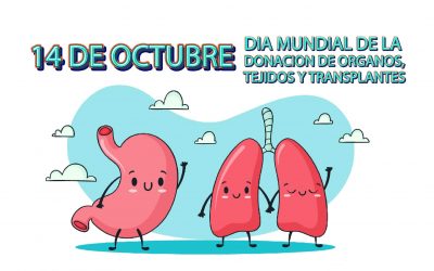 Noticia de prueba