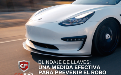 MEDIDA EFECTIVA PARA PREVENIR EL ROBO DE TU VEHÍCULO